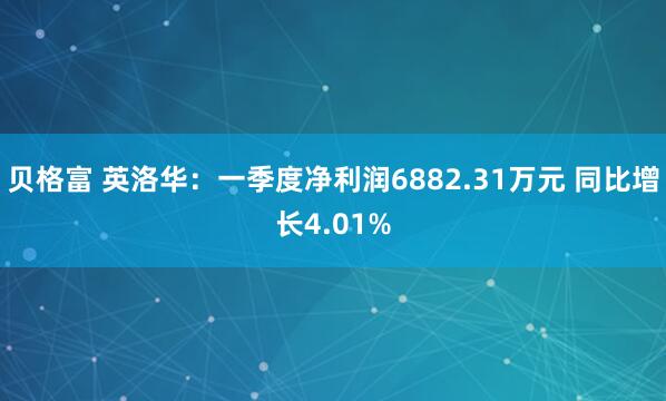 贝格富 英洛华：一季度净利润6882.31万元 同比增长4.01%