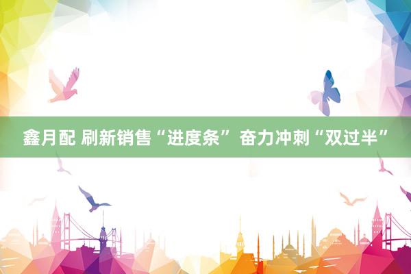 鑫月配 刷新销售“进度条” 奋力冲刺“双过半”