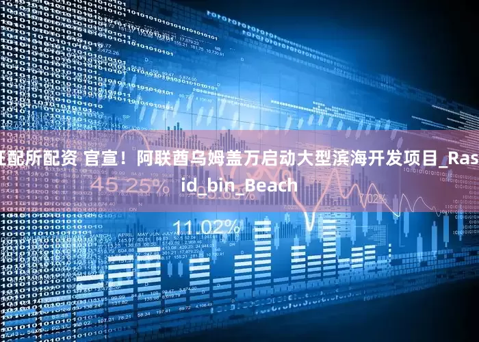 证配所配资 官宣！阿联酋乌姆盖万启动大型滨海开发项目_Rashid_bin_Beach
