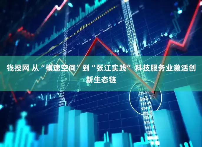 钱投网 从“模速空间”到“张江实践” 科技服务业激活创新生态链