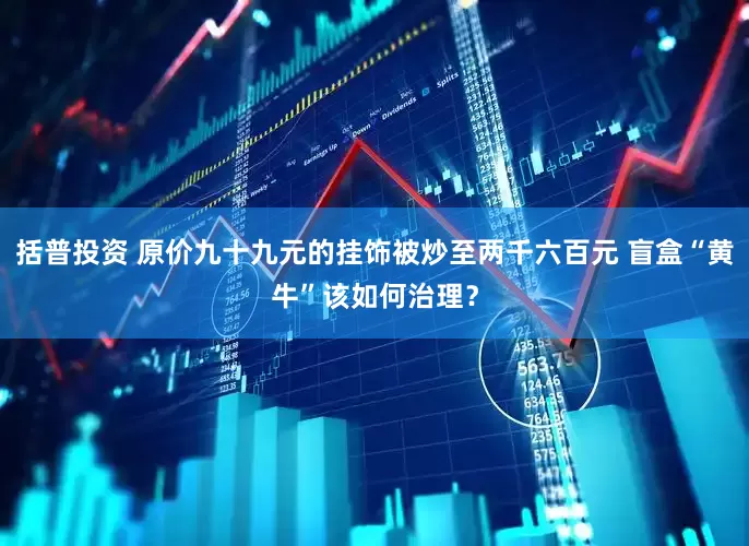括普投资 原价九十九元的挂饰被炒至两千六百元 盲盒“黄牛”该如何治理？