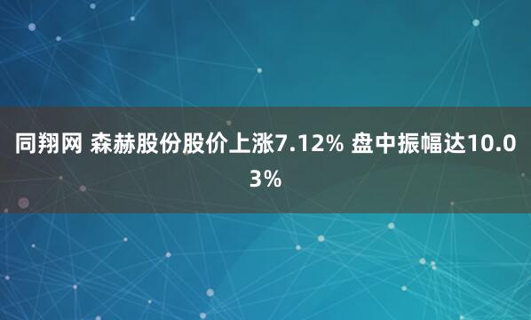同翔网 森赫股份股价上涨7.12% 盘中振幅达10.03%
